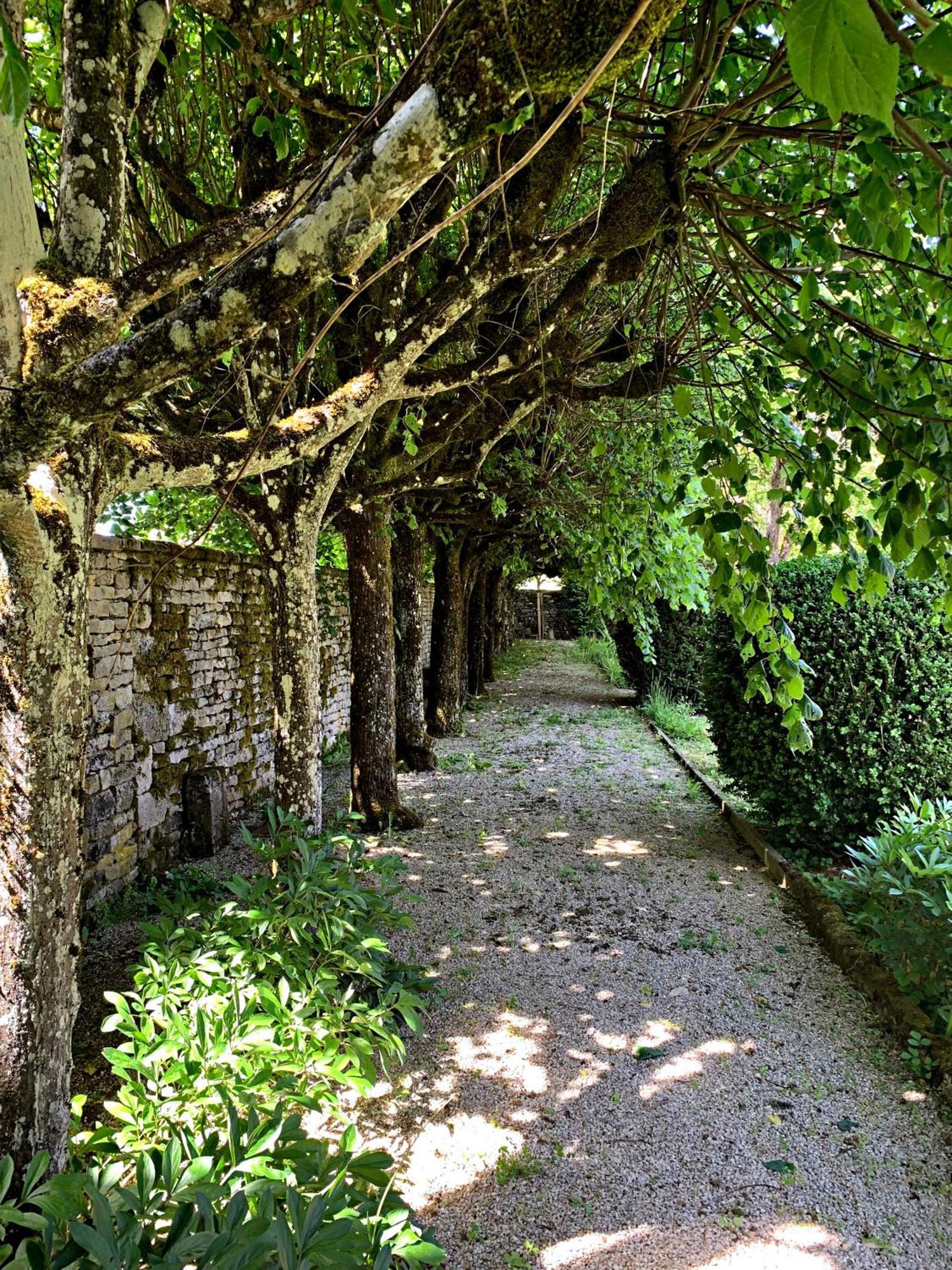 Le Clos Du Marronnier Rivieres-les-Fosses Екстериор снимка